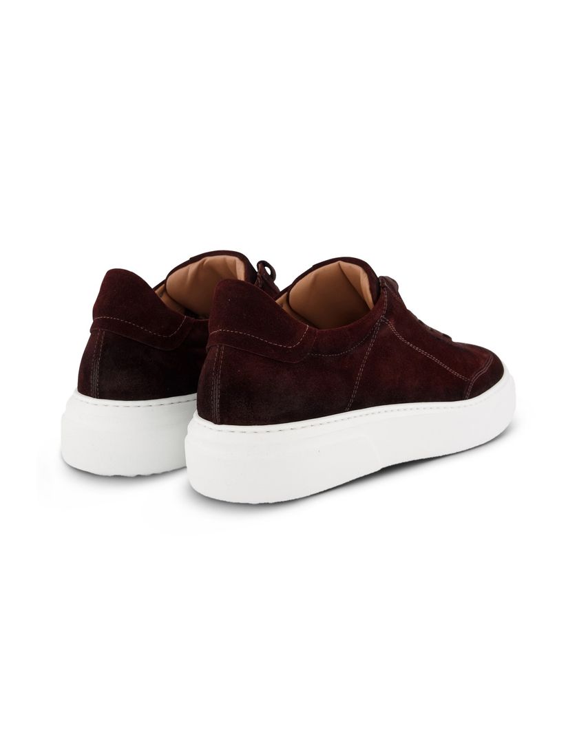 Sneaker Giorgio donkerbruin