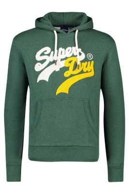 Superdry Superdry sweater met capuchon groen