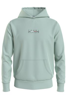 Tommy Hilfiger Tommy Hilfiger hoodie lichtgroen met logo
