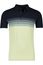 Pierre Cardin poloshirt groen gestreept