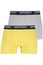Superdry boxershort 2-pack geel grijs