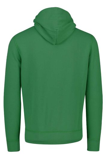 Polo Ralph Lauren Big & Tall sweater hoodie groen effen katoen