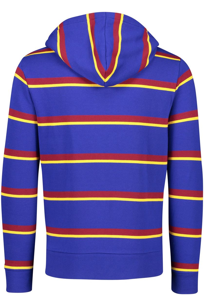 Polo Ralph Lauren hoodie blauw met streep katoen 