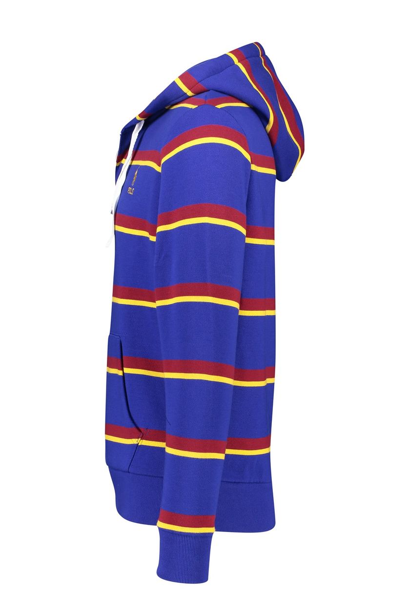 Polo Ralph Lauren hoodie blauw met streep katoen 