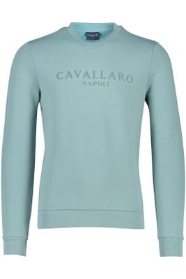 Cavallaro Cavallaro sweater groen effen katoen ronde hals 