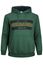 Jack & Jones Plus Size hoodie groen met print katoen