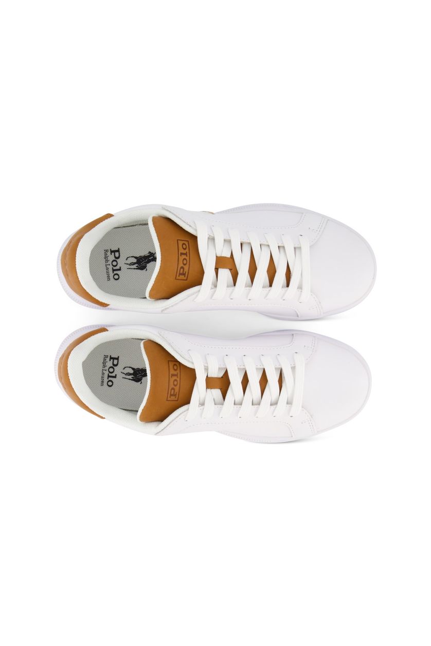 sneakers Polo Ralph Lauren wit/bruin