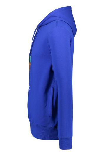 sweater Polo Ralph Lauren blauw effen, geprint hoodie 