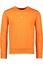 Polo Ralph Lauren sweater oranje effen katoen ronde hals 
