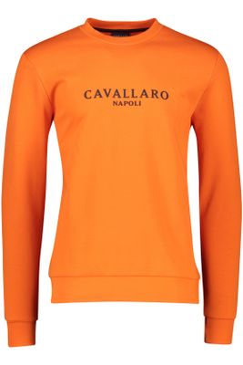 Cavallaro Cavallaro sweater oranje geprint katoen ronde hals 