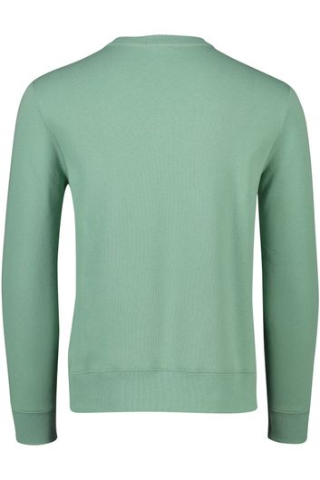 Polo Ralph Lauren sweater groen met opdruk