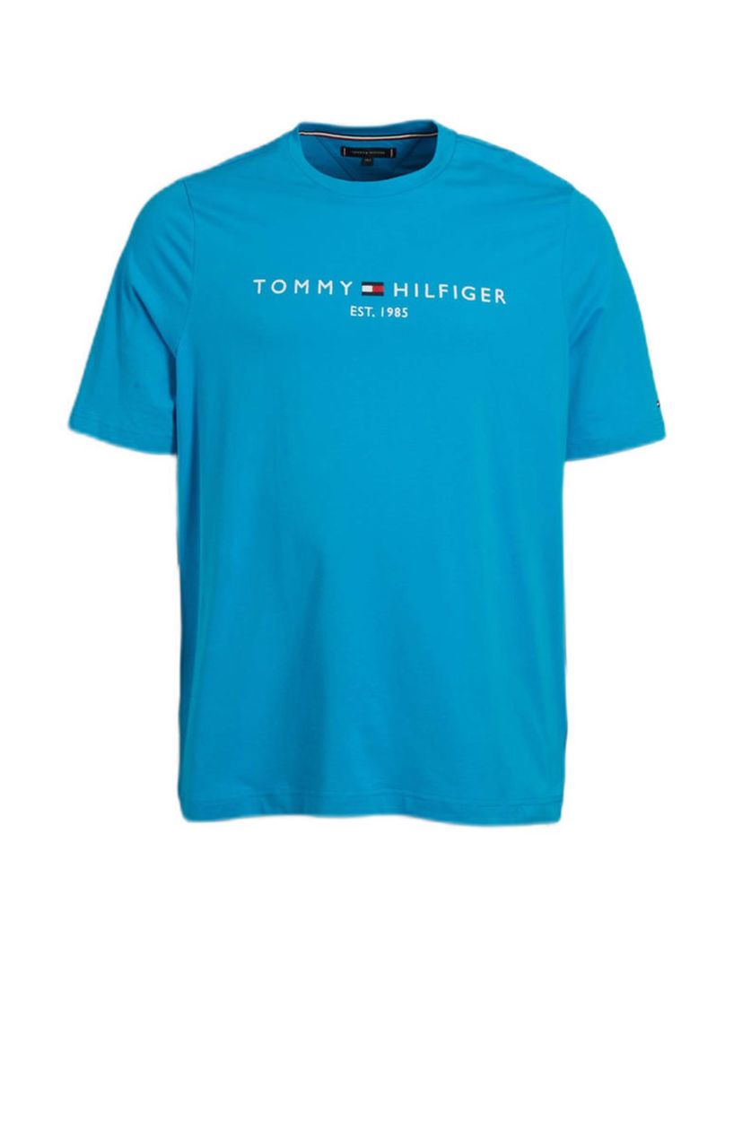 Tommy Hilfiger t-shirt wijde fit blauw print