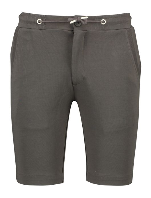 Born with appetite bermuda bruin