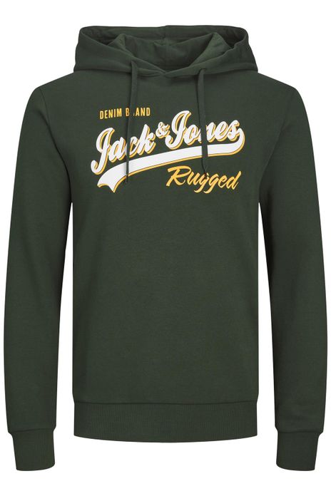 Jack & Jones hoodie groen regular fit