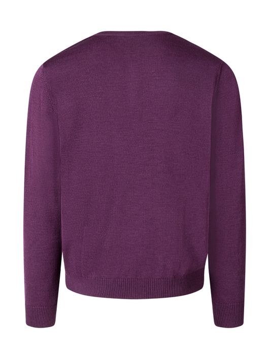 Maerz trui v-hals violet