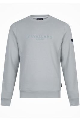 Cavallaro Cavallaro sweater groen effen ronde hals