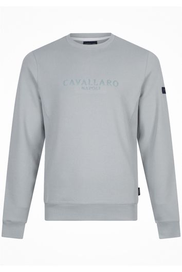 Cavallaro sweater groen effen