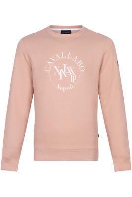 Cavallaro Cavallaro sweater Canto ronde hals roze geprint 