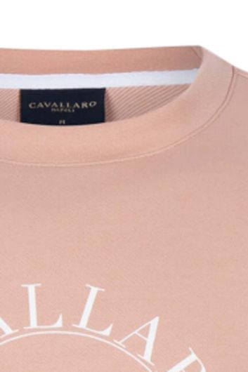 Cavallaro sweater Canto ronde hals roze geprint 