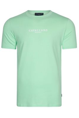 Cavallaro Cavallaro T-shirts groen katoen