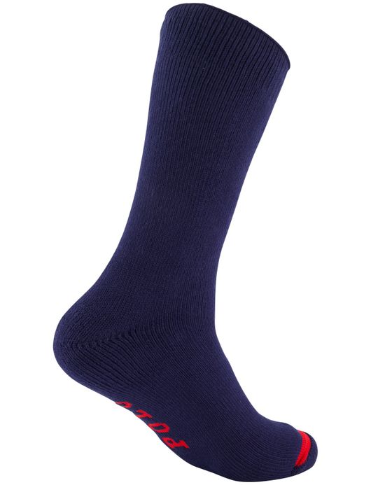 Polo Ralph Lauren sokken Bear 3-pack rood,grijs, blauw