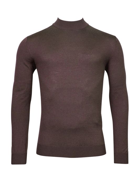 Thomas Maine turtle bruin