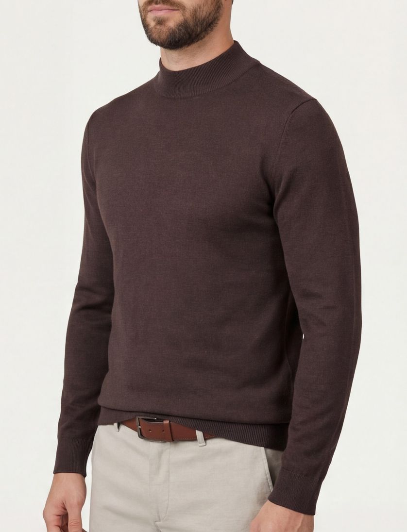 Thomas Maine turtleneck bruin normale fit 100% wol