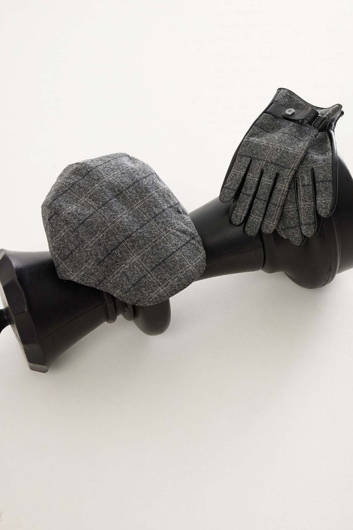 pet Tresanti grijs geruit