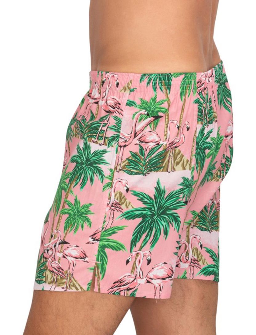 DEAL boxershort geprint roze flamingo