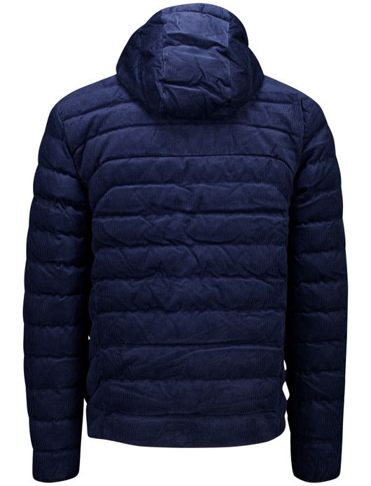 winterjas donkerblauw Polo Ralph Lauren