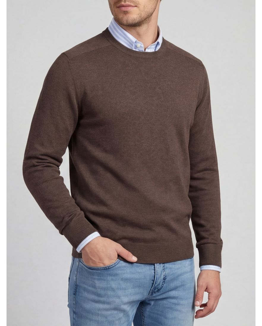 Paul & Shark Cotton & Silk trui bruin