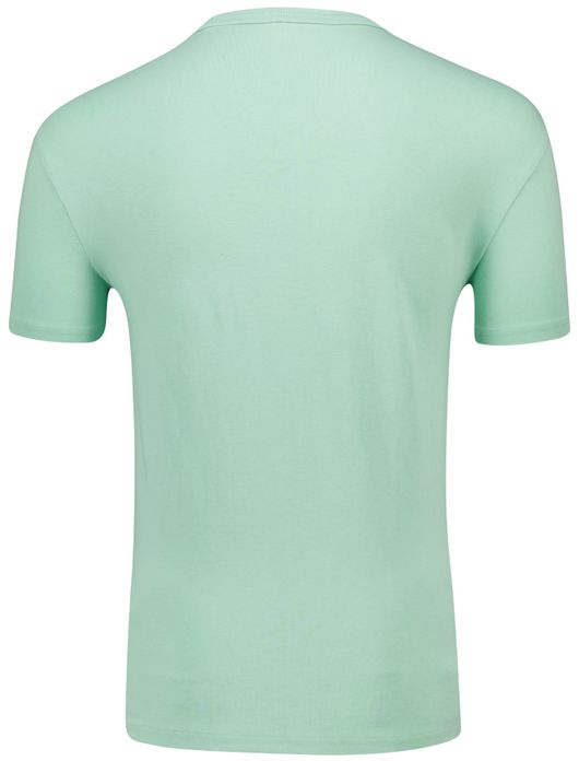 Polo Ralph Lauren classic fit t-shirt groen katoen
