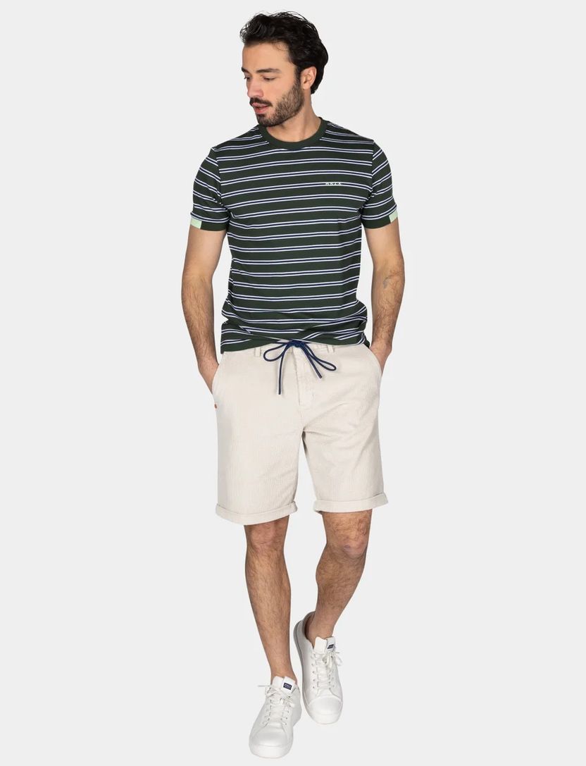 New Zealand t-shirt groen gestreept normale fit