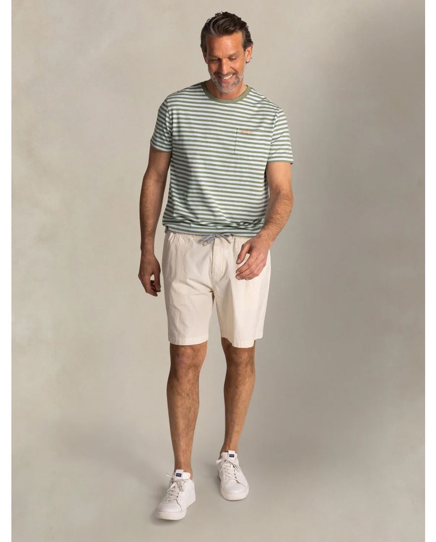 New Zealand t-shirt groen gestreept