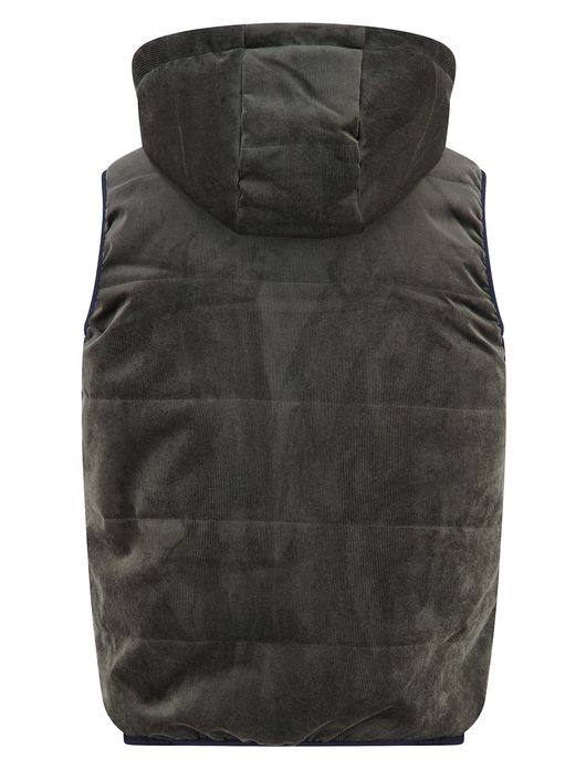 A Fish Named Fred bodywarmer groen