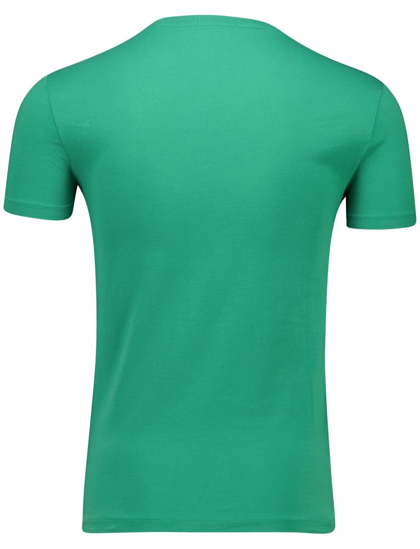 Polo Ralph Lauren T-shirt groen 100% katoen bear