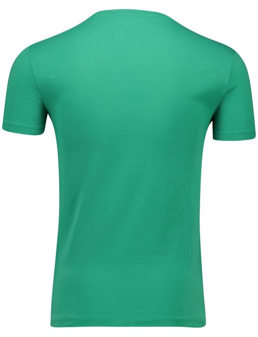 Polo Ralph Lauren T-shirt groen katoen met opdruk bear