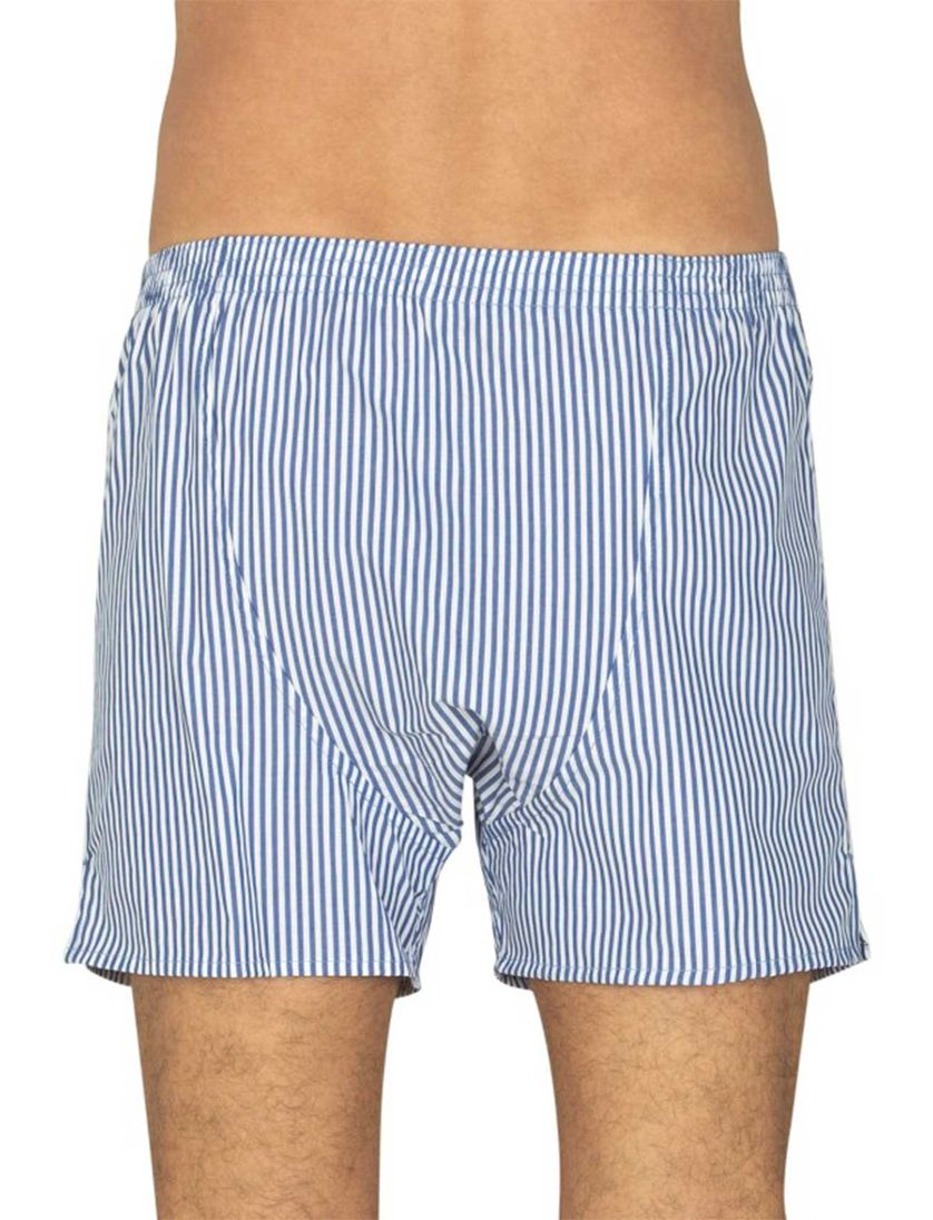 Deal boxershort blauw gestreept katoen