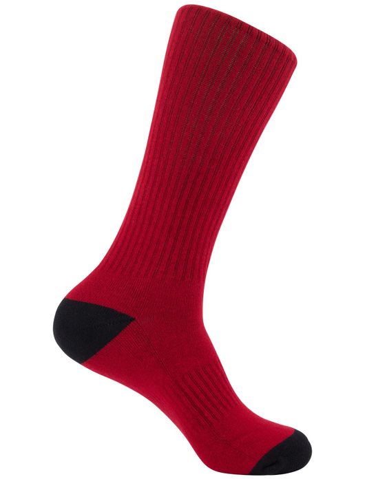 Polo Ralph Lauren 6 pack sokken multicolor bear