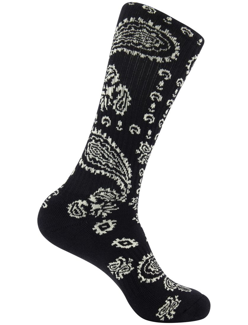 Polo Ralph Lauren 6 pack sokken multicolor bear met print