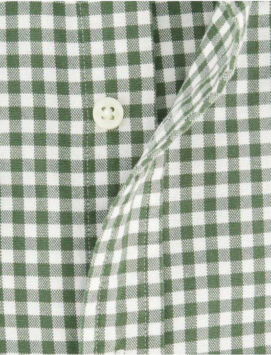 Polo Ralph Lauren overhemd groen geruit