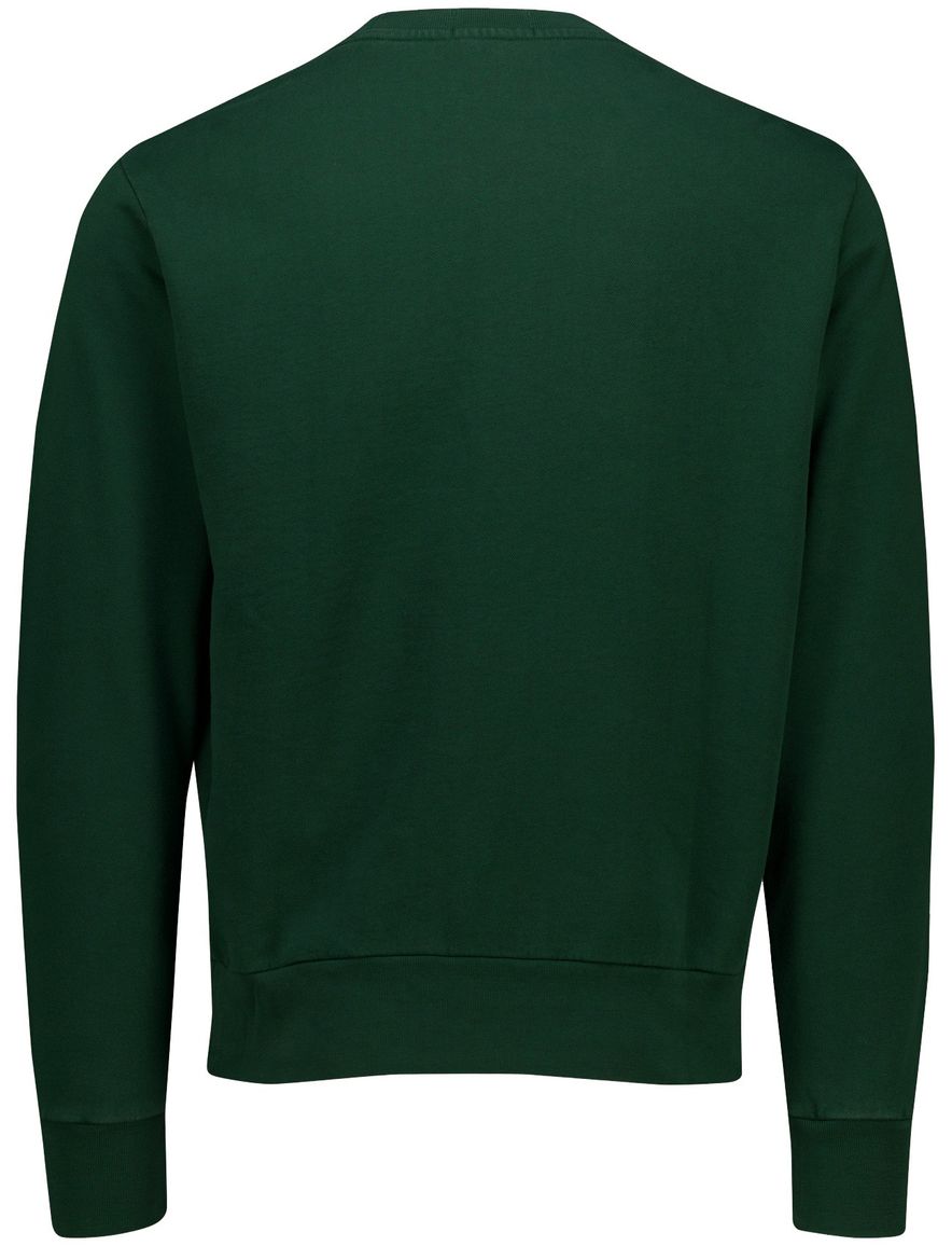 Polo Ralph Lauren sweater groen effen wijde fit
