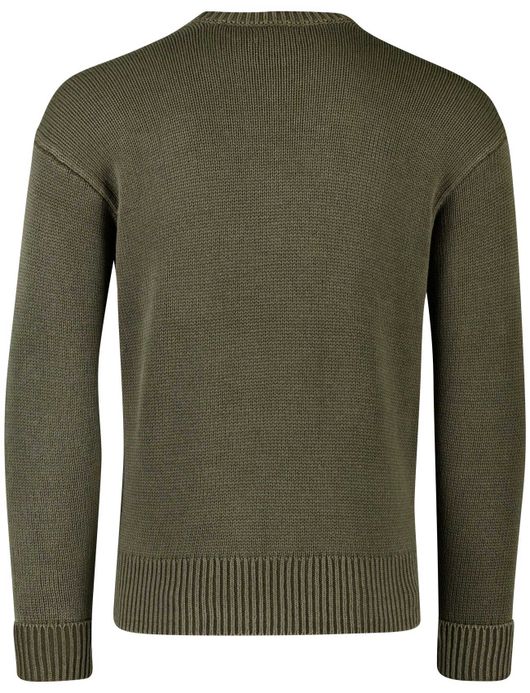groene trui Ralph lauren effen