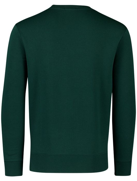 Ralph lauren bear trui groen