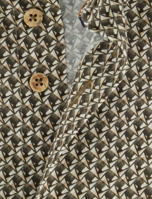 Eden Valley overhemd Regular Fit katoen groen