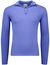trui blauw Gant