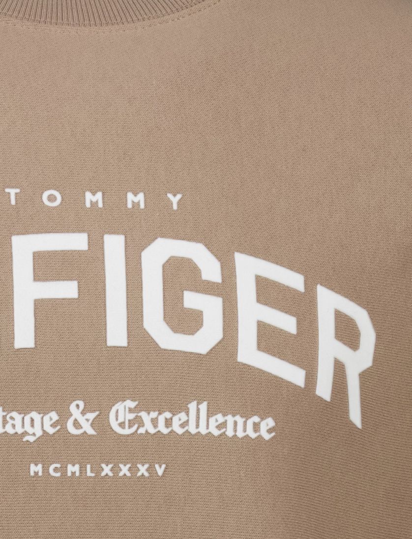 Tommy Hilfiger sweater bruin effen katoen lange mouw opdruk