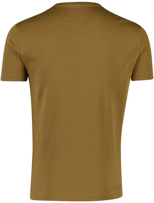 Polo ralph lauren classics t-shirt bruin