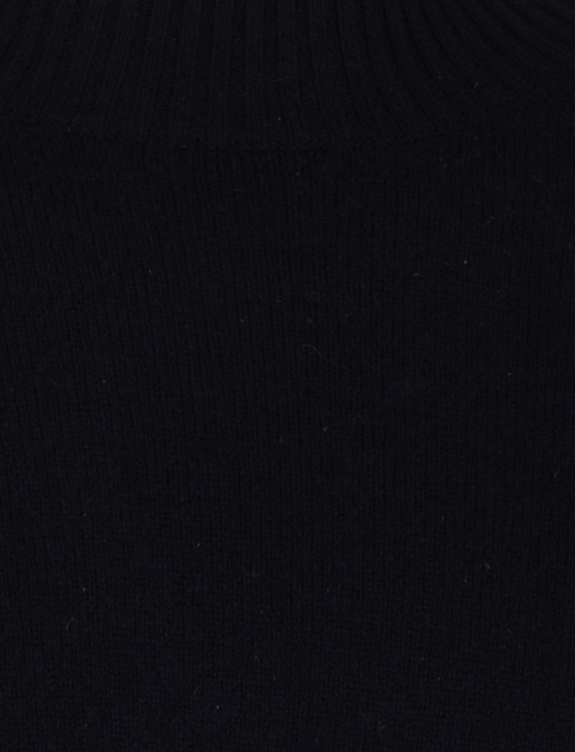 Coltrui Born with Appetite wol donkerblauw