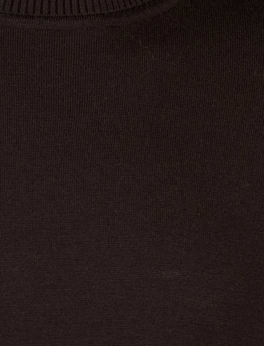 Born with appetite trui merinowol bruin